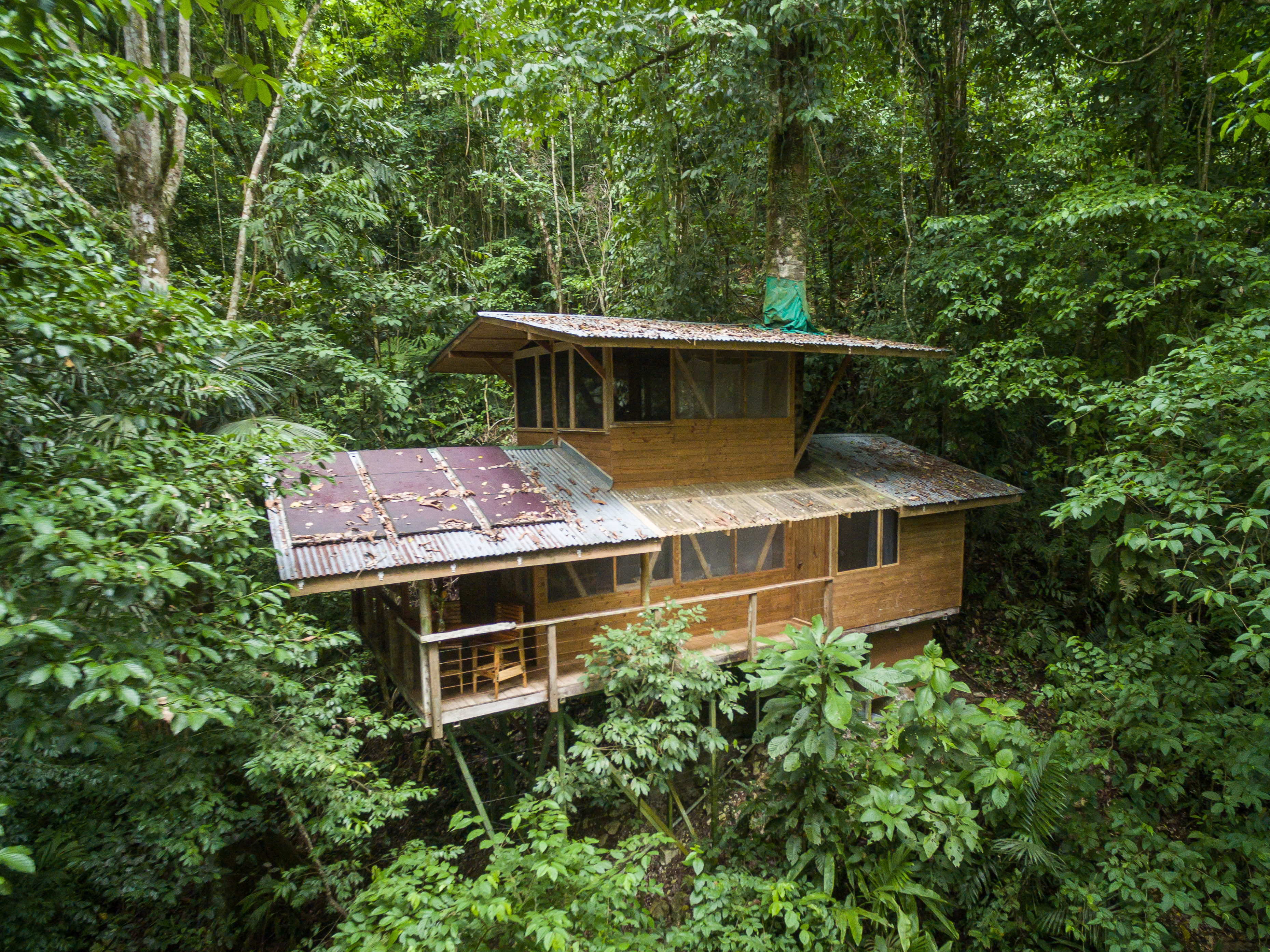 Casa del Mono treehouse at Finca Bellavista Book nowFinca Bellavista