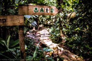 Finca Bellavista trail by Robb Reece