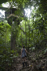 hiking under a treehouse at Finca Bellavista by Giulio Paletta