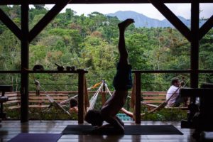 SCENIC HANDSTAND by James Lozeau